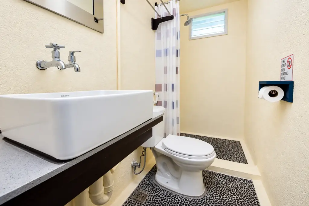 Bathroom with a white basin, toilet and curtained shower