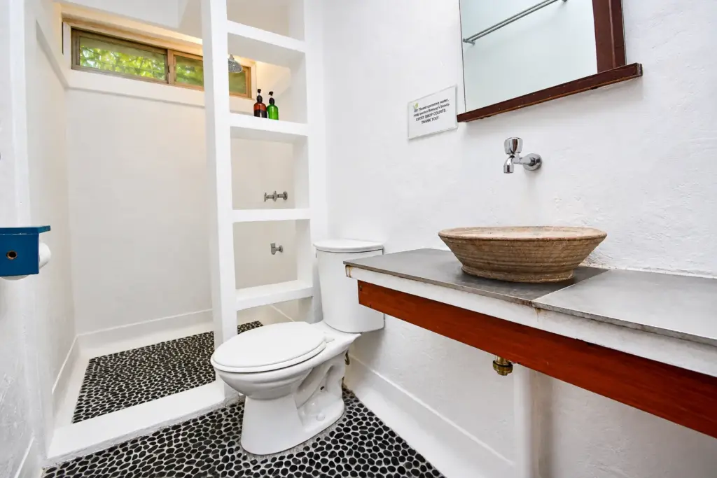 Bathroom with a wooden bowl sink, toilet and ladder shelf