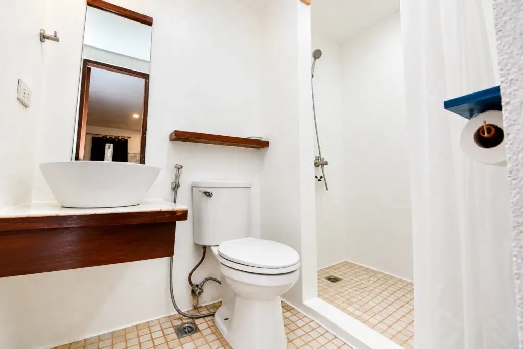 Private bathroom with a white basin, toilet and walk-in shower