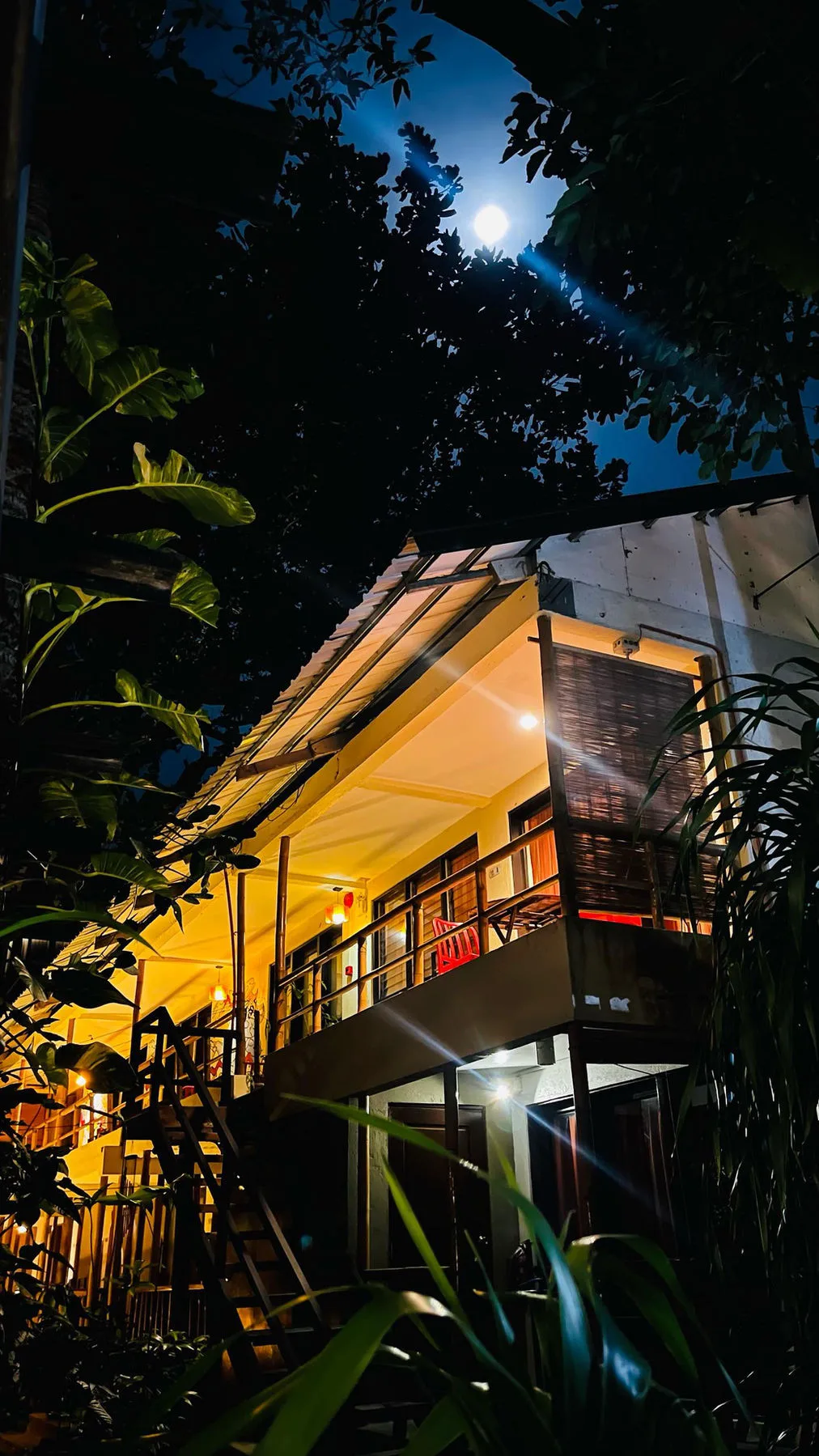 The Lazy Dog at night under a full moon