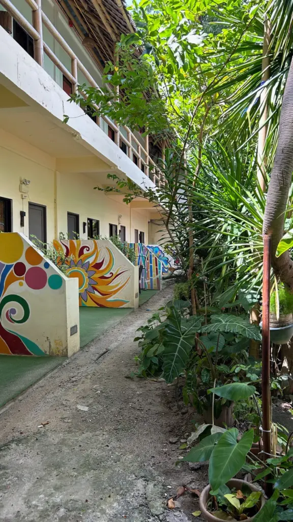 Standard Room at The Lazy Dog Boracay, photo 4