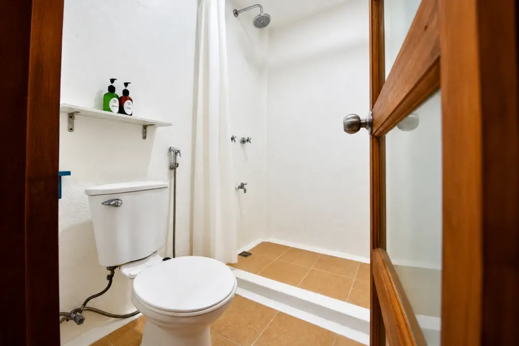 Bathroom with toilet, shower and wall shelf