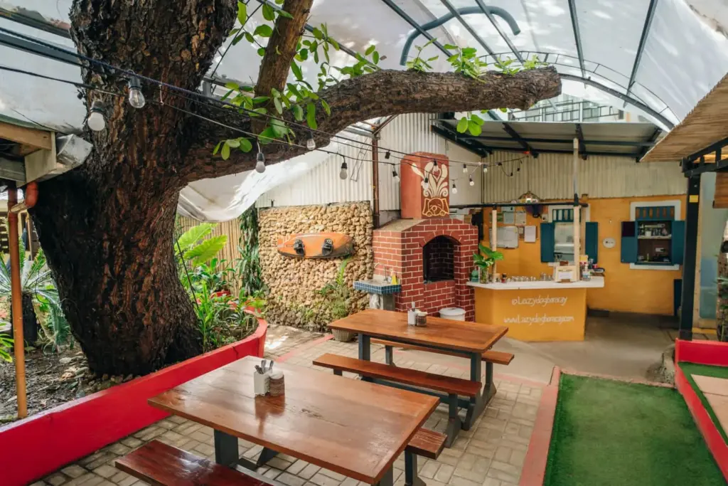The century-old tree growing through the garden café